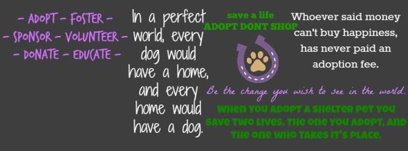 Adopt a Pet - Save Two Lives