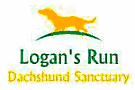Logan's Run Dachshund Sanctuary